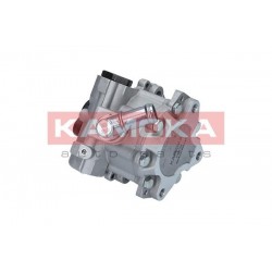 Szervószivattyú BMW 3 (E46) 98-05 32411094965