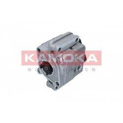 Szervószivattyú BMW 3 (E46) 98-07 32416756611