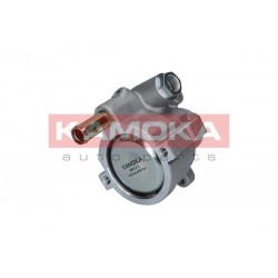 Szervószivattyú RENAULT AVANTIME 01-03 491103097R