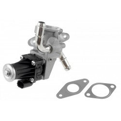 AGR-szelep FORD TRANSIT 2.2, 2.4 TDCI 2006- 1673226