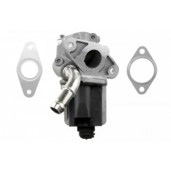 AGR-szelep FORD TRANSIT 2.2, 2.4 TDCI 2006- 1673226