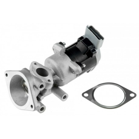 AGR-szelep LAND ROVER DISCOVERY III 2.7 TD 04- LR006960