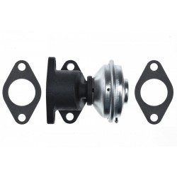 AGR-szelep AUDI A4 95-, VW PASSAT 96-, 2.5 TDI 59131503