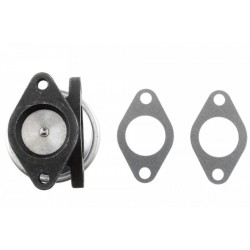 AGR-szelep RENAULT LAGUNA 2.2 D 93- 7700100230