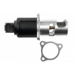 AGR-szelep OPEL, RENAULT 2.2 DCI, 2.5 DCI 4404463