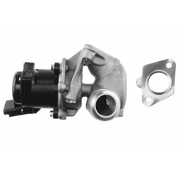 AGR-szelep CITROEN, PEUGEOT 1.4 HDI, FORD 1.4TDCI 1618N8