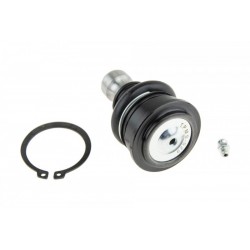 Támasztó- / vezetőcsukló ELSŐ ALSÓ MITSUBISHI GRANDIS 04- MR594386