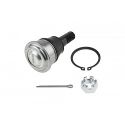 Támasztó- / vezetőcsukló ELSŐ ALSÓ PRIMERA 96-, ALMERA 00- 4016050A00