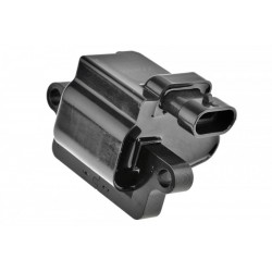 Gyújtótekercs CADILLAC ESCALADE 98-, 6.0 12558693