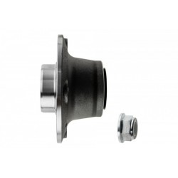 Kerékagy HÁTSÓ RENAULT MEGANE SCENIC 97-, SAFRANE 7700803929