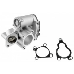 AGR-szelep LAGUNA III 2.0DCI MEGANE III QASHQAI 8200796674