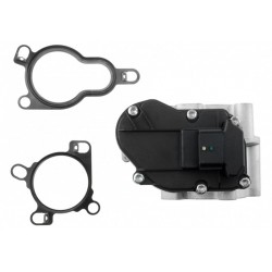 AGR-szelep LAGUNA III 2.0DCI MEGANE III QASHQAI 8200796674