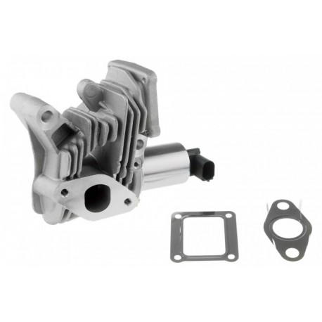 AGR-szelep LAGUNA II 1.9DCI 01- MEGANE 1.9DCI 02- 7701058850