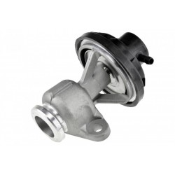 AGR-szelep CADDY 2.0SDI 2004- GOLF V 038131501AH 038131501AH