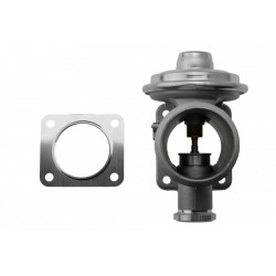 AGR-szelep BMW 5 E39 E60 E61 530D X5 E53 3.0D 11717789999