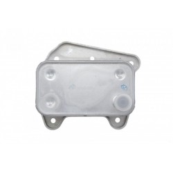 Olajhűtő, motorolaj MERCEDES E W211 E280CDI/E320CDI 2002-,KLASA G W461 G270CDI 2003- A6131880201