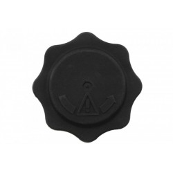 Zárófedél, hűtőfolyadék tartály MINI R50, R53 COOPER S/ JOHN COOPER WORKS/ ONE D 02-08 17107515499