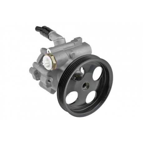 Szervószivattyú RENAULT THALIA 1.2 13-, DACIA LOGAN 1.2 12-, SANDERO 1.2 12- 491101451R