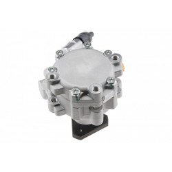 Szervószivattyú DACIA SANDERO 1.2 12- 491103834R