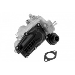 AGR-szelep RENAULT MEGANE III 1.9DCI 2008-, 8200762517