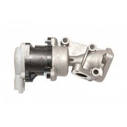 AGR-szelep LAND ROVER DISCOVERY III 2.7 TD 04- LR009810