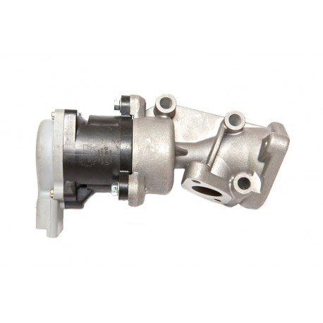 AGR-szelep LAND ROVER DISCOVERY III 2.7 TD 04- LR009810