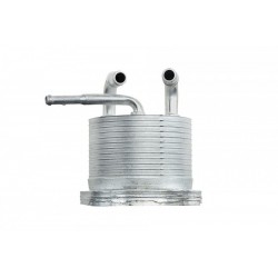 Olajhűtő, motorolaj MITSUBISHI LANCER VIII 1.8 08-, 2920A141