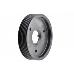 Szíjtárcsa, szervoszivattyú RENAULT ESPACE III, LAGUNA II, MASTER II 2.2D 07.00- 7700109328
