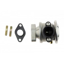 Szelep, szekunder levegő szivattyú rendszer BMW 5 E39 535/540 1998-,X5 E53 4.4 2000-,4.6 2001- 11721707619