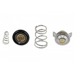 Termosztát, hűtőfolyadék DISCOVERY III 4.2 4.4 RANGE SPORT 05-09 LR005765