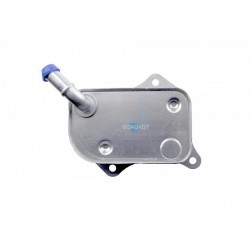 Olajhűtő, motorolaj AUDI A4 2.0,2.0FSI 96/110KW 00-08, 06B117021