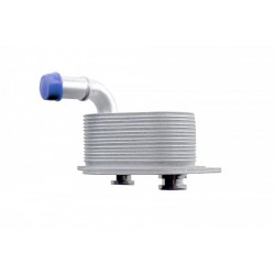 Olajhűtő, motorolaj AUDI A4 2.0,2.0FSI 96/110KW 00-08, 06B117021