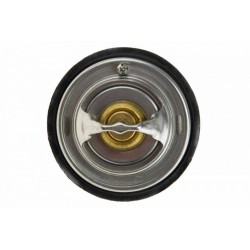 Termosztát, hűtőfolyadék AUDI A8 07-, 077121113B