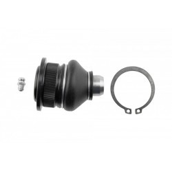 Támasztó- / vezetőcsukló CLIO III 05- MEGANE II 02- MODUS 6040096057