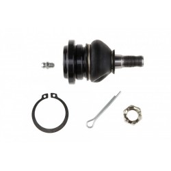 Támasztó- / vezetőcsukló ELSŐ FELSŐ LEXUS IS200 IS300 1999- 4861029055