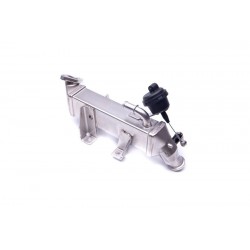 EGR SZELEP RADIÁTOR RENAULT LAGUNA II III MEGANE III SCENIC III GRAND SCENIC III MASTER III 8200719993