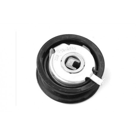 FESZÍTŐ CSIGA FELICIA 1.9 028109243G