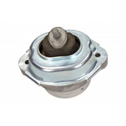 MOTORPÁRNA BMW E53 L P