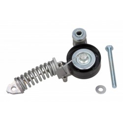 MULTIFR. SZÍJFESZÍTŐ OPEL 1.0 12V 1.2 16V 1013400267