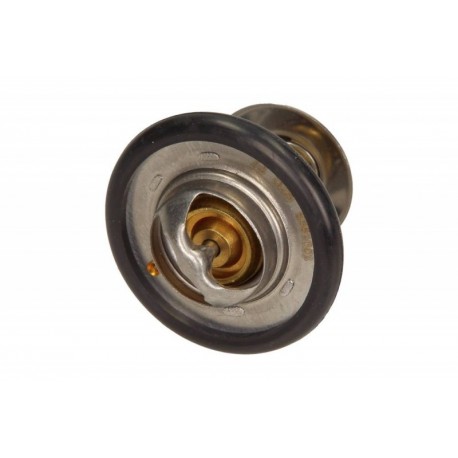 FORD 92C TERMOSZTÁT 1.880.396S