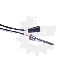 KIPUFOGÓGÁZ-HŐMÉRSÉKLET ÉRZÉKELŐ DAF 1689811 1689811