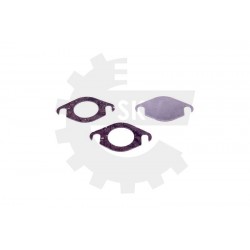 EGR SZELEP JAVÍTÓ KÉSZLET RENAULT NISSAN OPEL 2.0 DCI CDTI 0