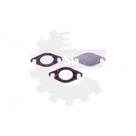 EGR SZELEP JAVÍTÓ KÉSZLET RENAULT NISSAN OPEL 2.0 DCI CDTI 0