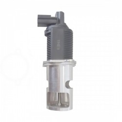 EGR kipufogógáz-visszavezető szelep Nissan Almera II 14710BN701