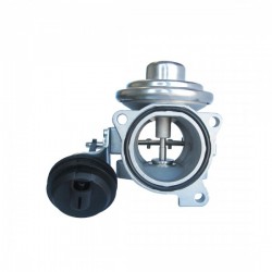 EGR kipufogógáz-visszavezető szelep AUDI A4, AUDI A6, FORD GALAXY, SEAT ALHAMBRA, SKODA SUPERB, VW PASSAT, VW SHARAN,
