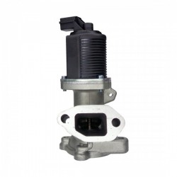 Kipufogógáz-visszavezető szelep EGR Fiat Idea 1.3D Multijet, Lancia Musa 1.3D Multijet 55206932