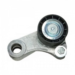 Ékszíjfeszítő szíjtárcsa és tartó MITSUBISHI Carisma RENAULT Espace III, Laguna I, Megane I, Megane Scenic, Scenic I VOLVO S40