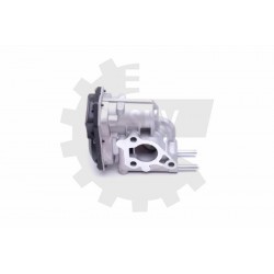 AGR-szelep TOYOTA HILUX VII LAND CRUISER PRADO 2580030200 25800-30200