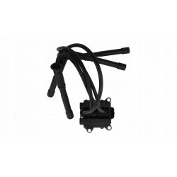 GYÚJTÓTEKERCS RENAULT CLIO,KANGOO 597083