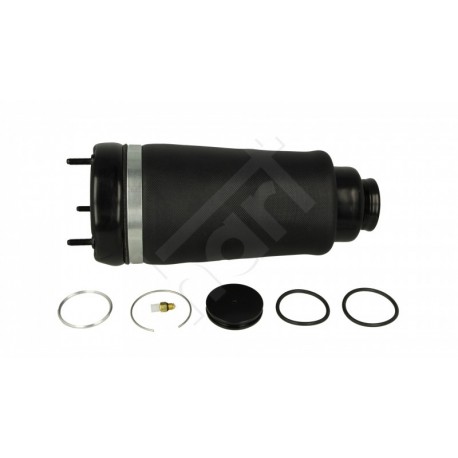 RUGÓSTAGOK /P/DB GL X164 07-12 /L+P/ 1643204313